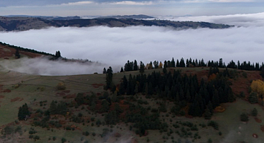 Alaçam Halkı Direndi Dürtmen Dağı Kurtuldu