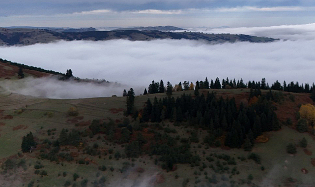 Alaçam Halkı Direndi Dürtmen Dağı Kurtuldu