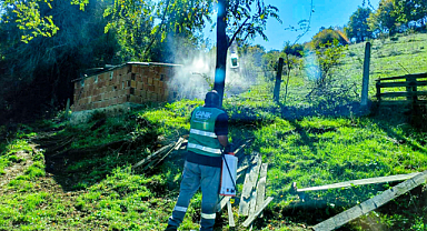Canik'te Kahverengi Kokarca İlaçlaması Yapılıyor