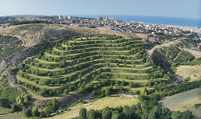 Eski Maden Ocakları Yeniden Yeşeriyor!