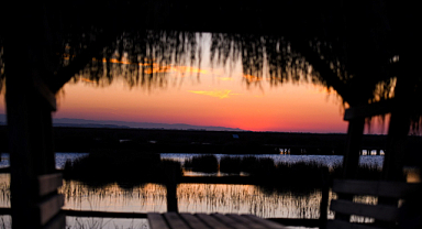 Kuş Cenneti Büyülüyor