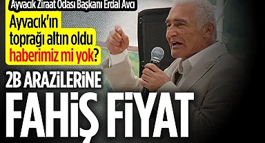 Ayvacık Ziraat Odası Başkanı Erdal Avcı: Ayvacık'ın Toprağı Altın Oldu Haberimiz Mi Yok?