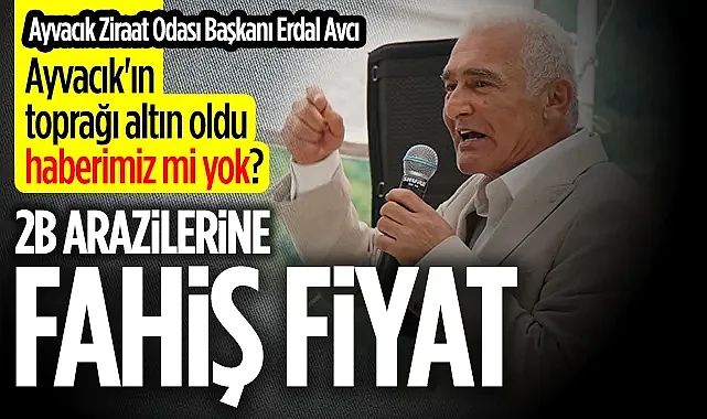 Ayvacık Ziraat Odası Başkanı Erdal Avcı: Ayvacık'ın Toprağı Altın Oldu Haberimiz Mi Yok?