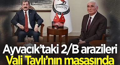 Ayvacık’taki 2/B arazileri Vali Tavlı’nın masasında