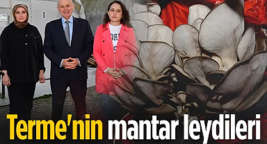 Terme'de Kadın Girişimcilerden Dev Atılım: Mantar Leydi Kooperatifi Kuruldu