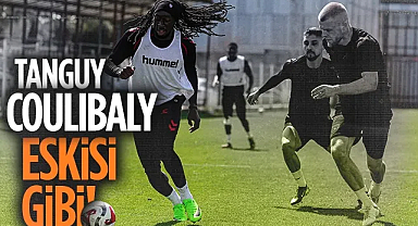 Fransız Yıldız Coulibaly Geri Döndü: İdmanlardaki Performansı Parmak Isırtıyor