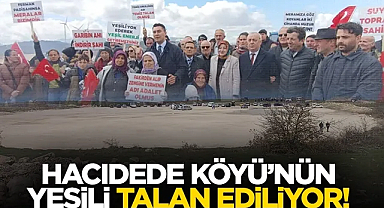 Samsun Havza Hacıdede Köyü’nün Yeşili Talan Ediliyor!