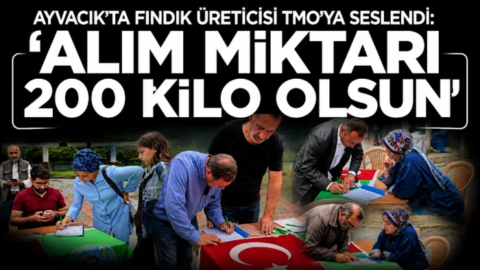 Ayvacık’ta fındık üreticisi TMO’ya seslendi: ‘Alım miktarı 200 kilo olsun'