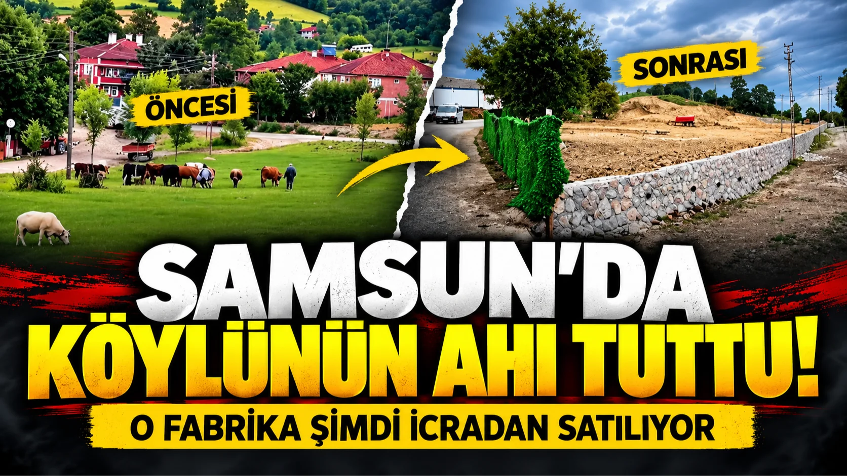 Samsun'da köylünün ahı fabrika batırdı! Güzelim mera alanı şimdi icradan satılıyor