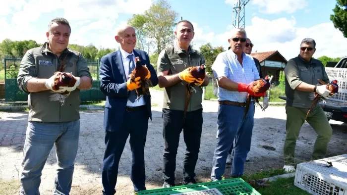 Terme sülünü doğayla buluştu