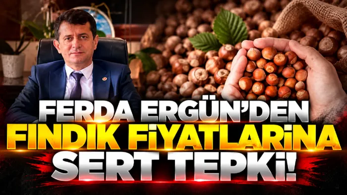 Terme Ziraat Odası Başkanı Ferda Ergün'den fındık fiyatına sert tepki: Çiftçi sahipsiz bırakıldı