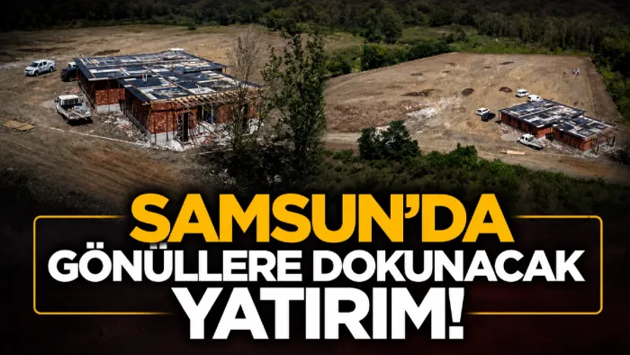 Terme’de 1000 hayvan kapasiteli doğal yaşam alanı kuruluyor