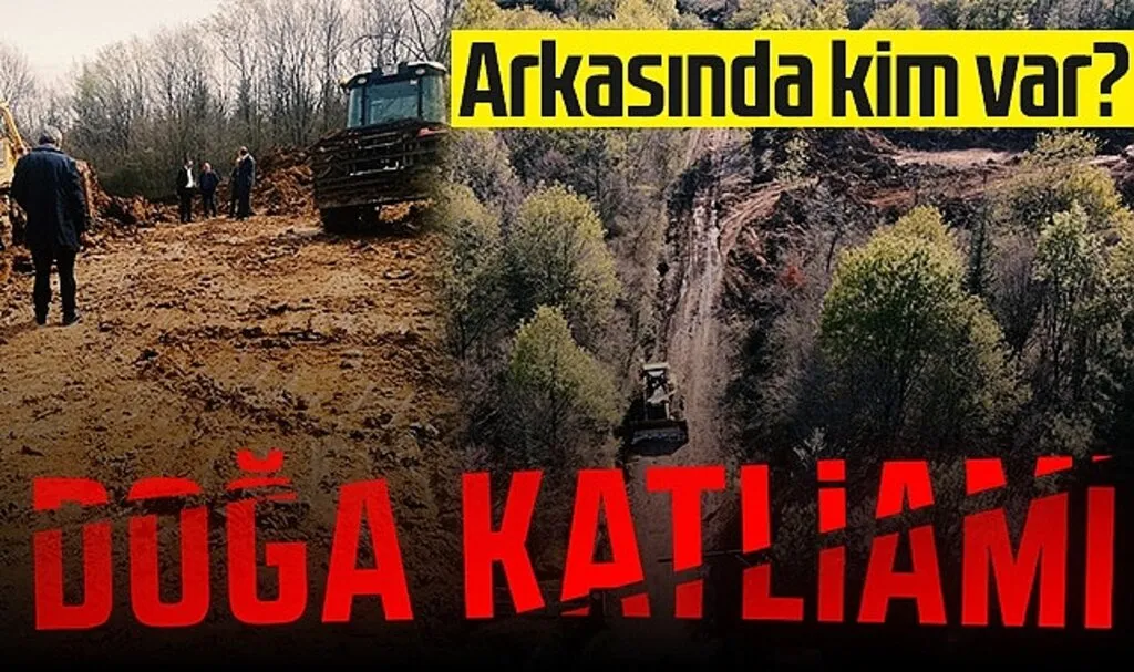 Tekkeköy'de Doğa Katliamı Yaşanıyor!