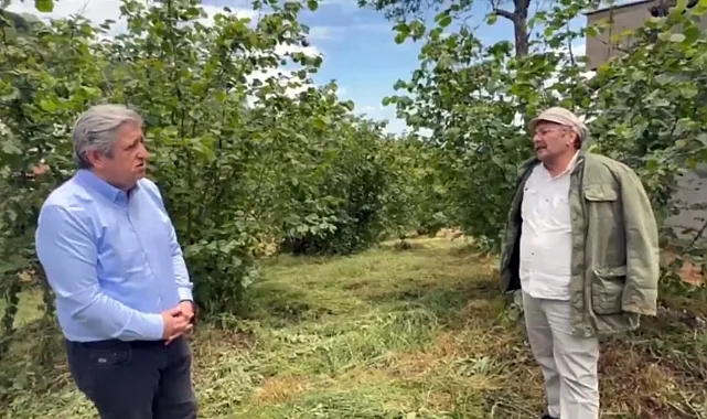Üretici Topraktan Borç Hasat Ediyor