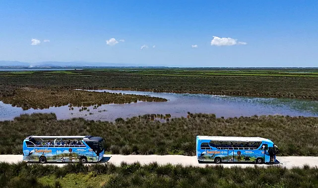 Samsun'da Kuş Cenneti?ne Ziyaretçi Akını