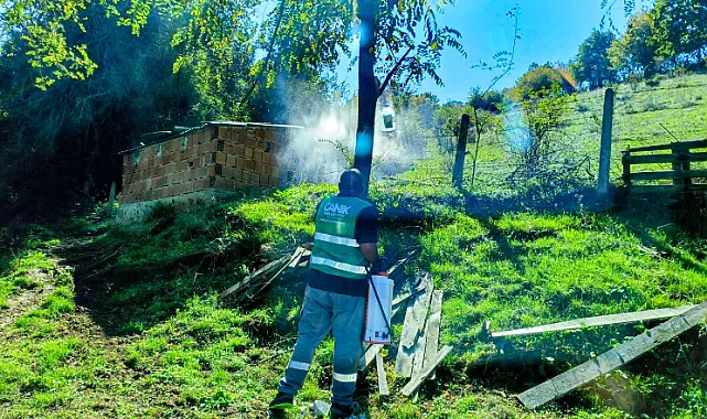 Canik'te Kahverengi Kokarca İlaçlaması Yapılıyor