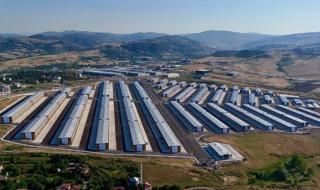 Toybelen?deki Yüksek Kira Esnafı Zora Soktu
