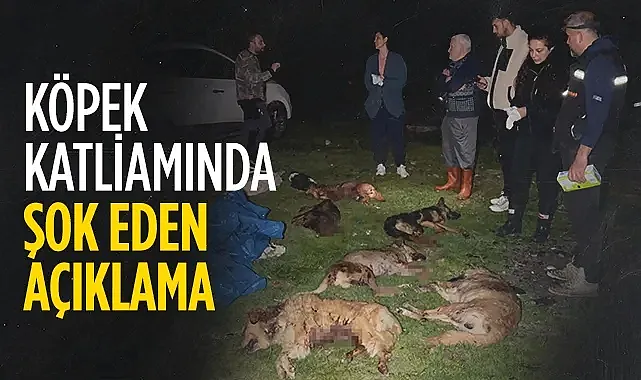 Köpek Katliamında Şok Eden Açıklama