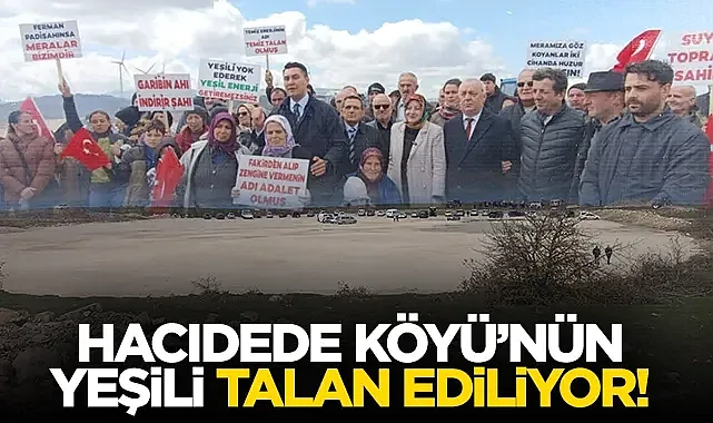 Samsun Havza Hacıdede Köyü?nün Yeşili Talan Ediliyor!