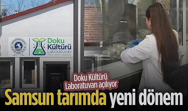 Samsun Tarımda Yeni Dönem: Doku Kültürü Laboratuvarı Açılıyor