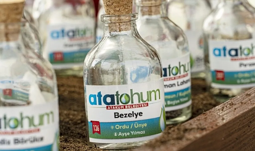 Ata Tohumlar, Atakum?dan Geleceğe Taşınıyor