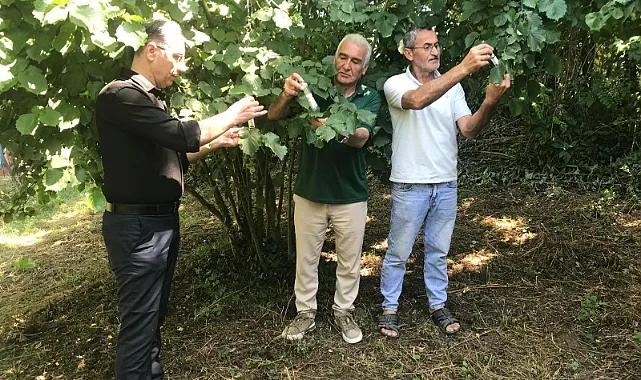 Ayvacık'ta 10 Bin Samuray Arısı Doğaya Salındı