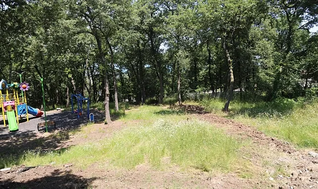 Doğa İçinde Adrenalin Canik Macera Parkı