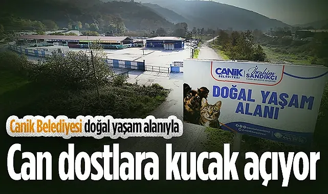 Canik Belediyesi Doğal Yaşam Alanıyla Can Dostlara Kucak Açıyor 