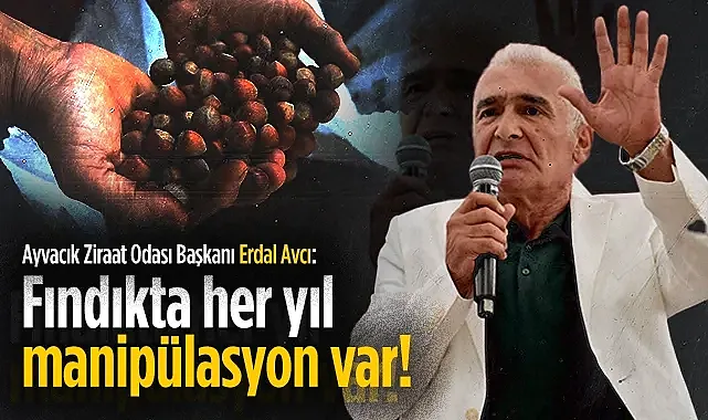 Ayvacık Ziraat Odası Başkanı Erdal Avcı: Fındıkta her yıl manipülasyon var!