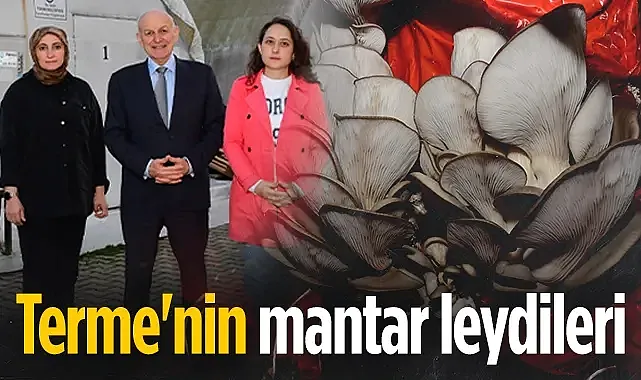 Terme'de Kadın Girişimcilerden Dev Atılım: Mantar Leydi Kooperatifi Kuruldu