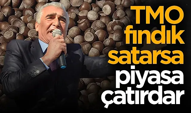 Ayvacık Ziraat Odası Başkanı Erdal Avcı: TMO Fındık Satarsa Piyasa Çatırdar!