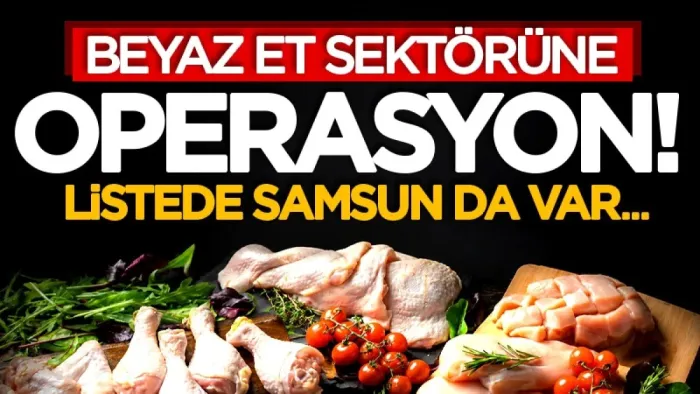 Beyaz et sektörüne operasyon! Listede Samsun da var...