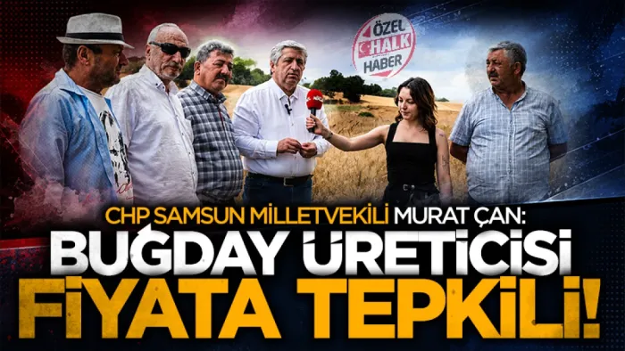 CHP Samsun Milletvekili Murat Çan: Buğday üreticisi fiyata tepkili