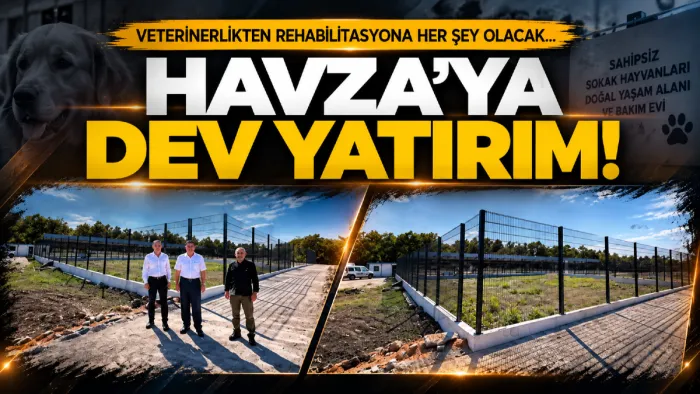 Havza’da sahipsiz hayvanlar için yeni yaşam alanı hazırlanıyor