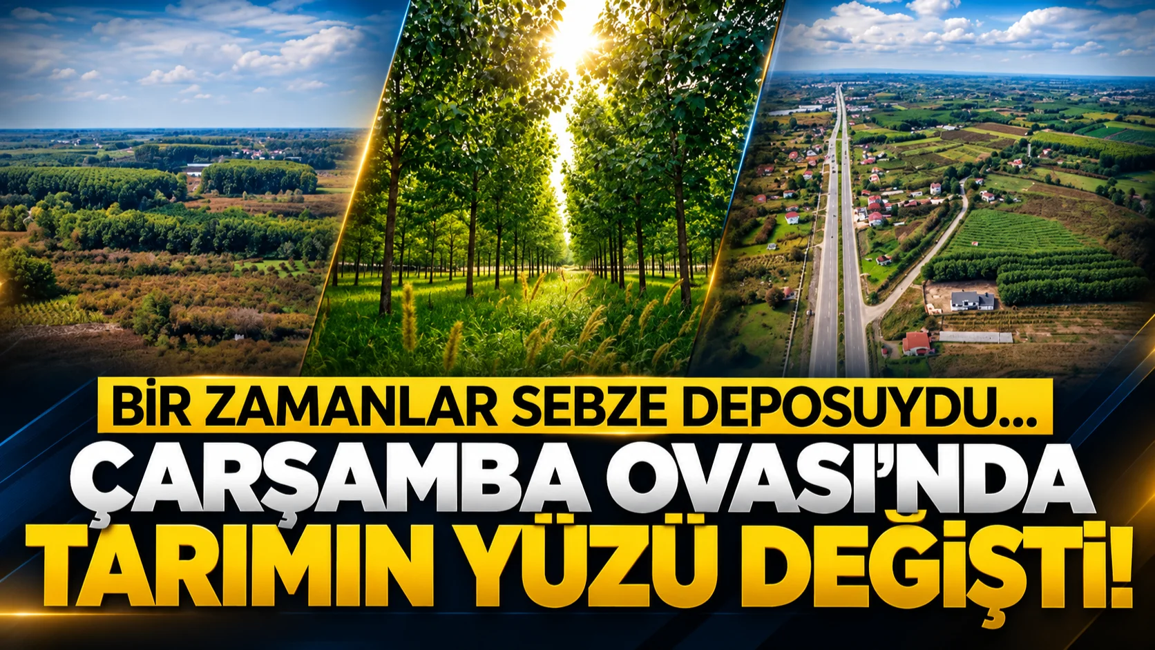 Samsun Çarşamba Ovası'nda tarımın yüzü değişti