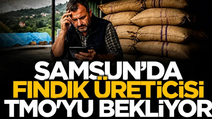 Samsun'da fındık üreticisi TMO'yu bekliyor