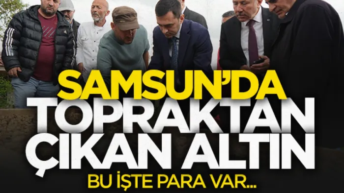 Samsun'da topraktan çıkan altın: Bu işte para var!