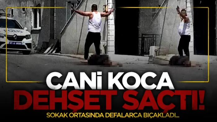 Sokak ortasında cani koca dehşeti! Eşini defalarca bıçakladı