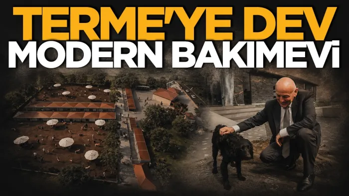 Terme’ye bin hayvan kapasiteli modern bakımevi yapılıyor