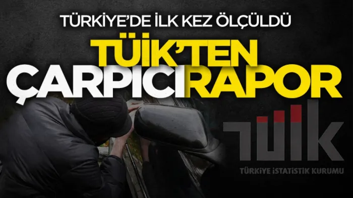 TÜİK ilk kez ölçtü: Türkiye'nin suç ve mağduriyet haritası açıklandı